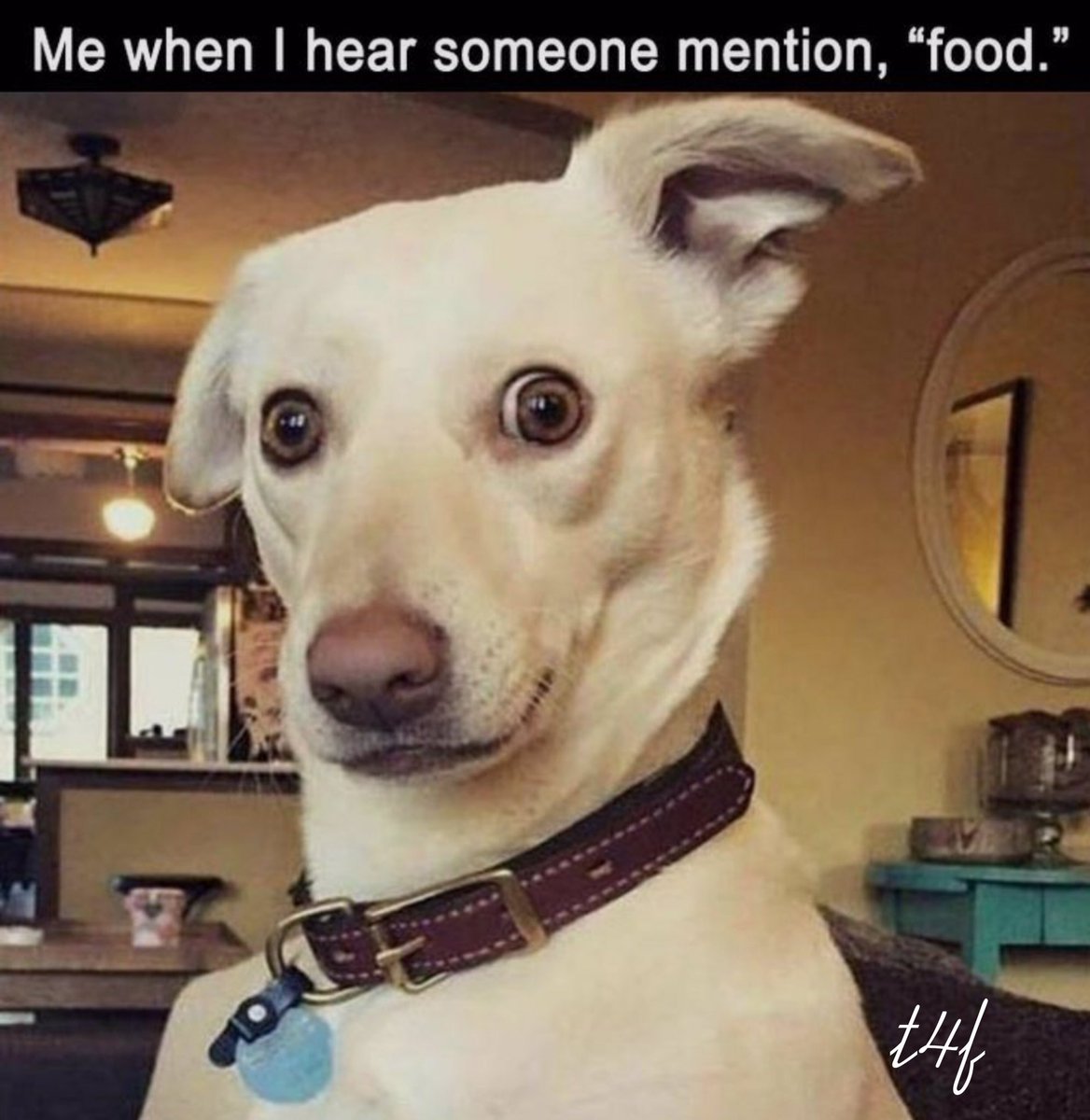 Taste4Food's tweet photo. #taste4food - Happy Sunday 😋#foodie #humor #retweet https://t.co/4J5WoNo1zH