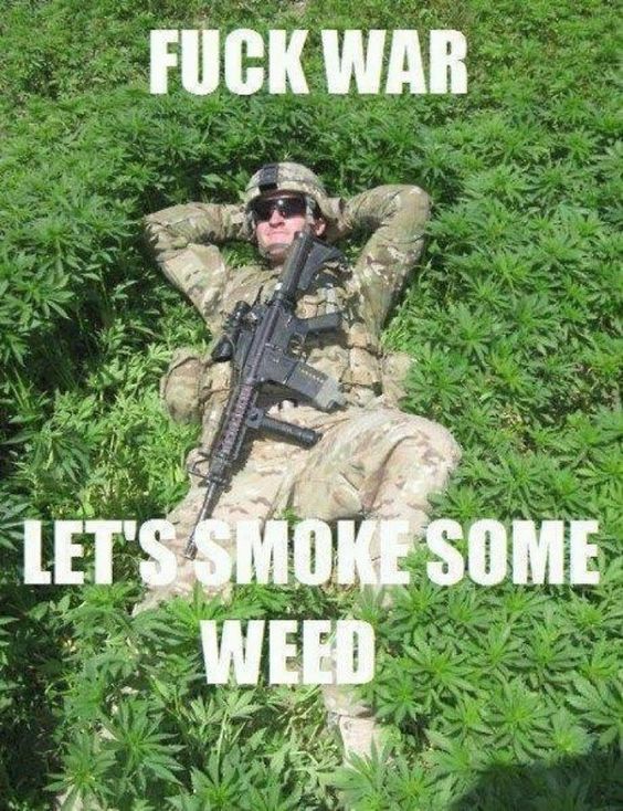 Kush_Seeds's tweet photo. The War On Drugs Is A Failure... BTW #Cannabis Is NON-TOXIC It Is NOT A DRUG! Chocolate IS TOXIC &amp; IS A DRUG! https://t.co/5T9FswMPYW https://t.co/vrj9Ht9D7Y