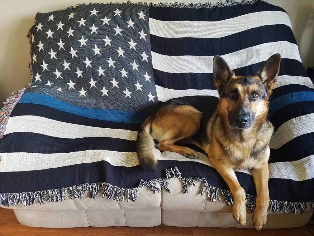 BlueLineCustoms's tweet photo. @bluelivesmtr Choose between the Thin Blue Line lap throw with or without the pledge. Both 100% cotton made in USA. https://t.co/HXrXHUokA6 https://t.co/6Way6ruxOb