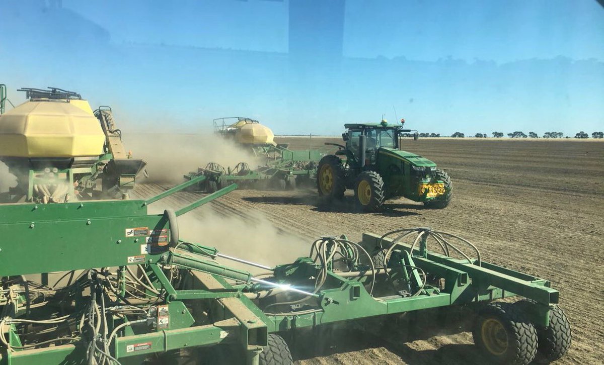 Fergus Inglis tweet media