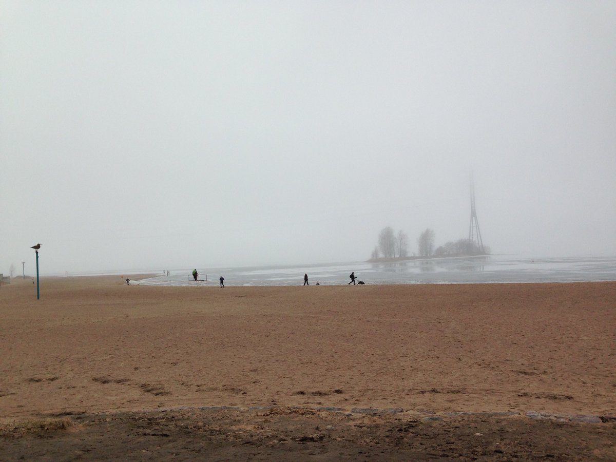 andrederidder's tweet photo. gone to the erm.... beach today #HelsinkiSpring https://t.co/hE0jUC2qaE