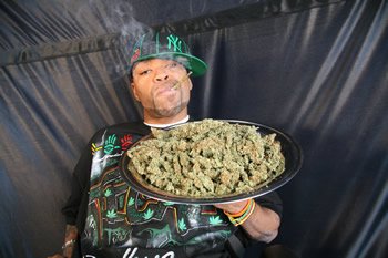 Kush_Seeds's tweet photo. Buying weed is stressful man. Dealer not about, ran out of your fav bud, just bush weed left!? Never run out again https://t.co/5T9FswMPYW https://t.co/AEf1u79aVC