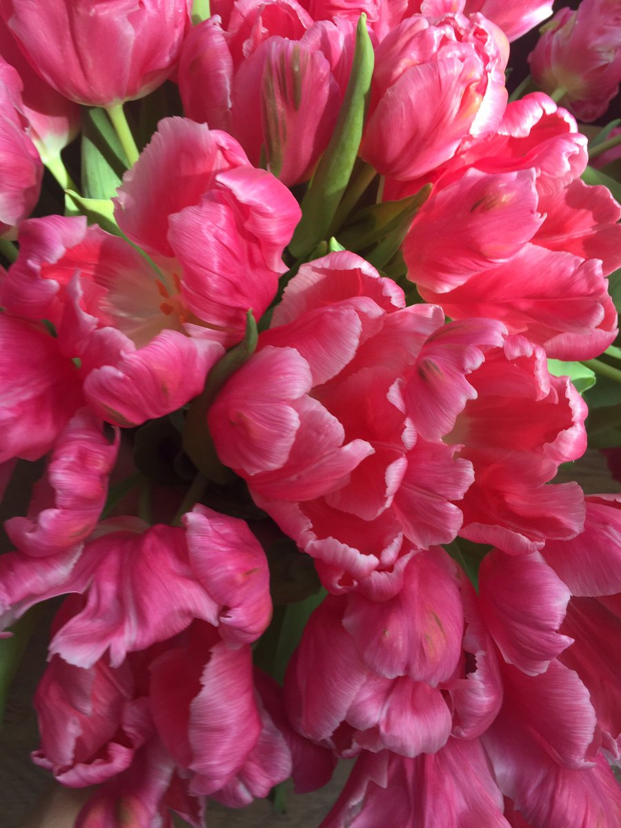 Flowerbx On Twitter Happy Sunday From Flowerbx Tulips Flowers