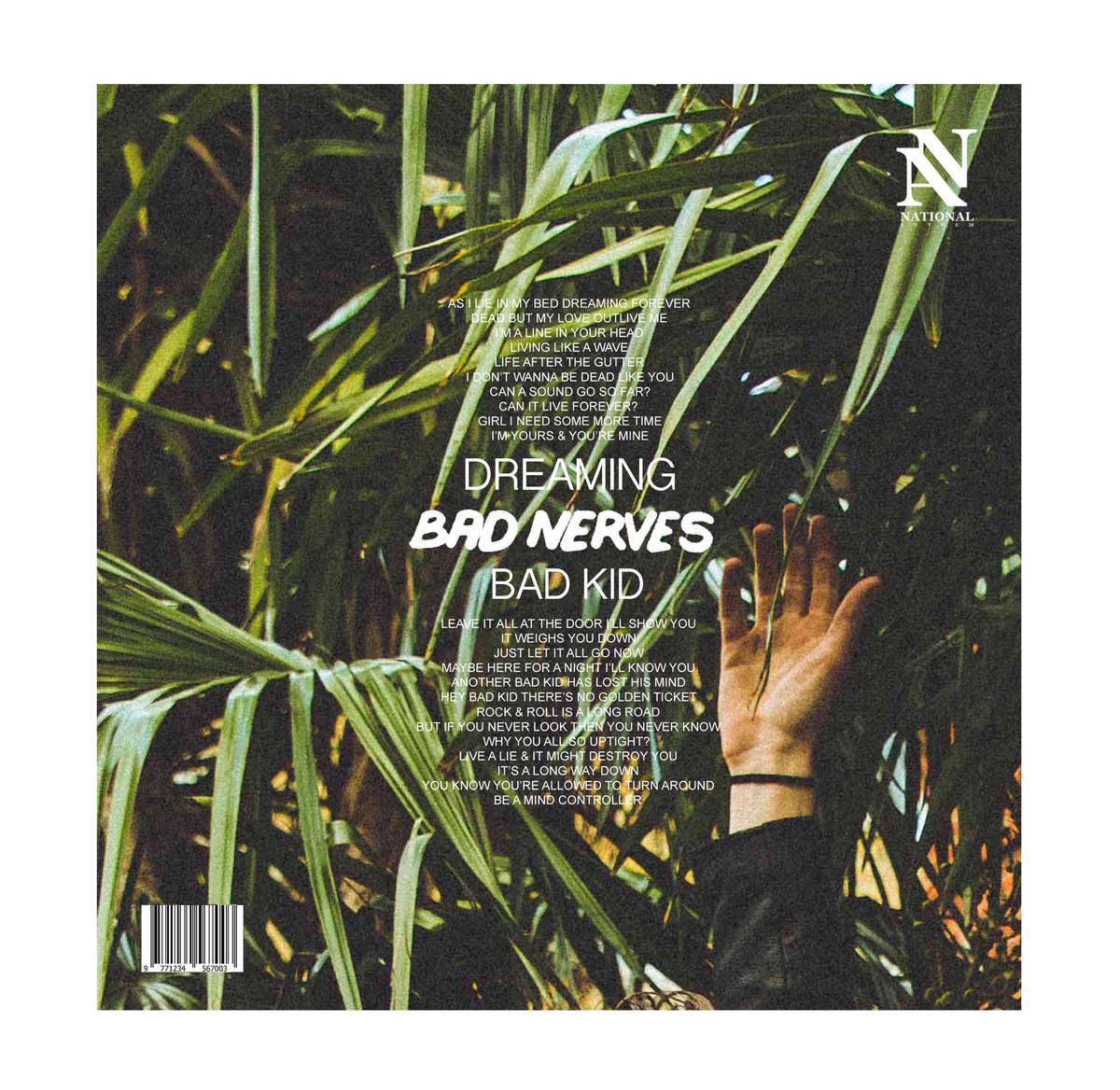 BAD NERVES tweet media