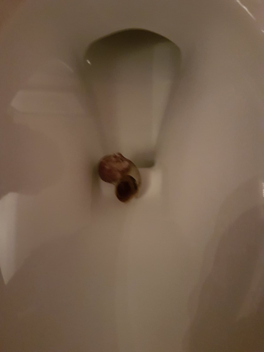 CHRIS KAMBEITZ tweet media