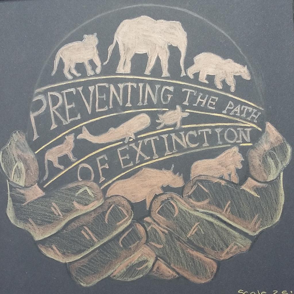 LoucindaNims's tweet photo. Day 2 of my #sketchbookchallenge -a #drawing of #medal #design to honour people in protecting endangered species https://t.co/sQyFP1sRnQ