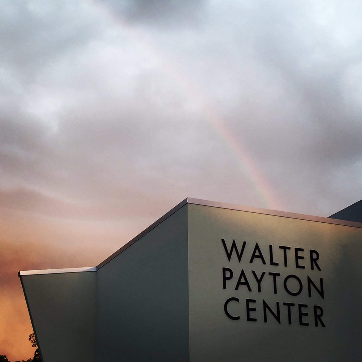 TheOpening's tweet photo. Learn more about the legend of Sweetness.
📽️ @WalterPayton Highlights: https://t.co/4KF7tq43Xv https://t.co/OozhTv0bd6