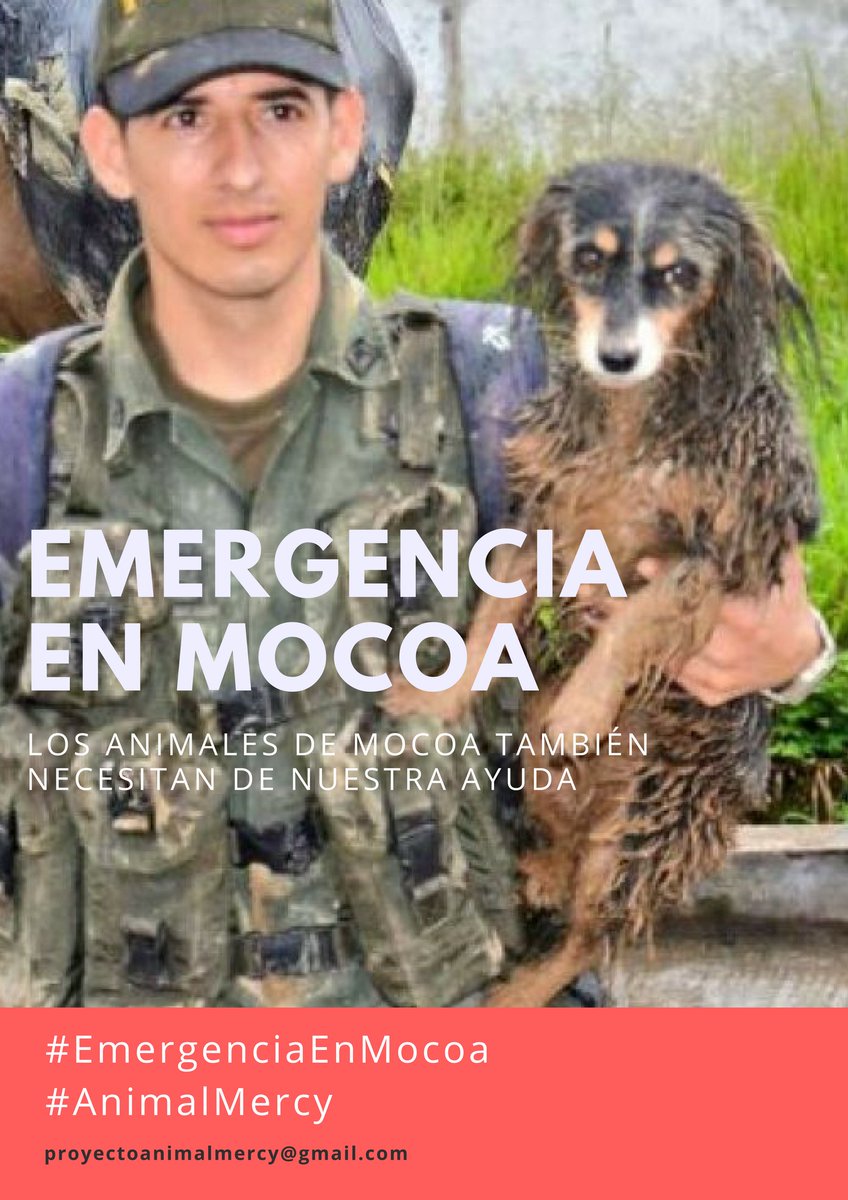 Anisotropy001's tweet photo. #Bogotá #donaciones para los peludos afectados en el desastre de #mocoa #mocoanosnecesita #mocoasomostodos #emergenciaenmocoa #AnimalMercy https://t.co/WFmDk7d9ux