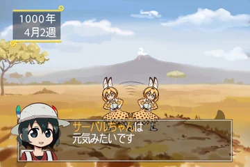 画像 / Picture