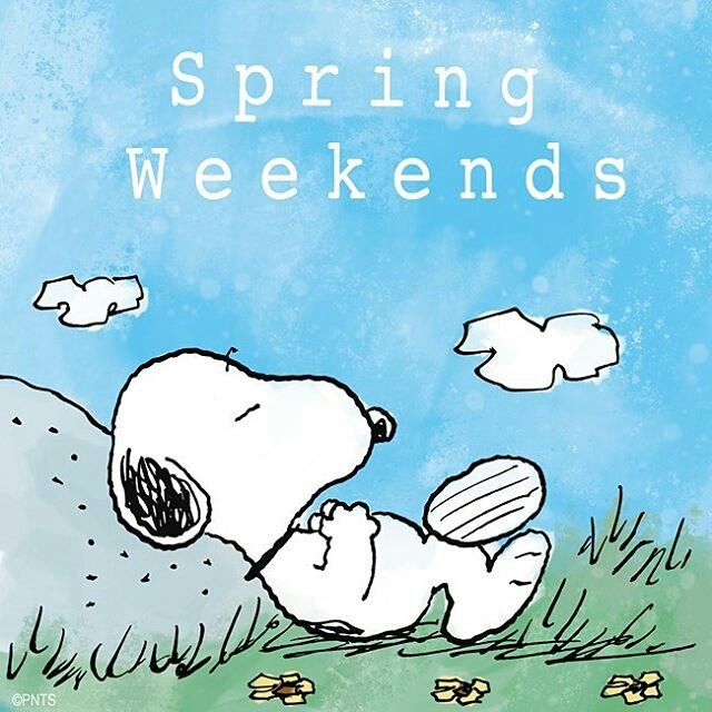VickieMartinezV's tweet photo. #Snoopy #springweekends #believeinyou #beyourself 🎉💪🌱💡😍 https://t.co/26QATg2q5G
