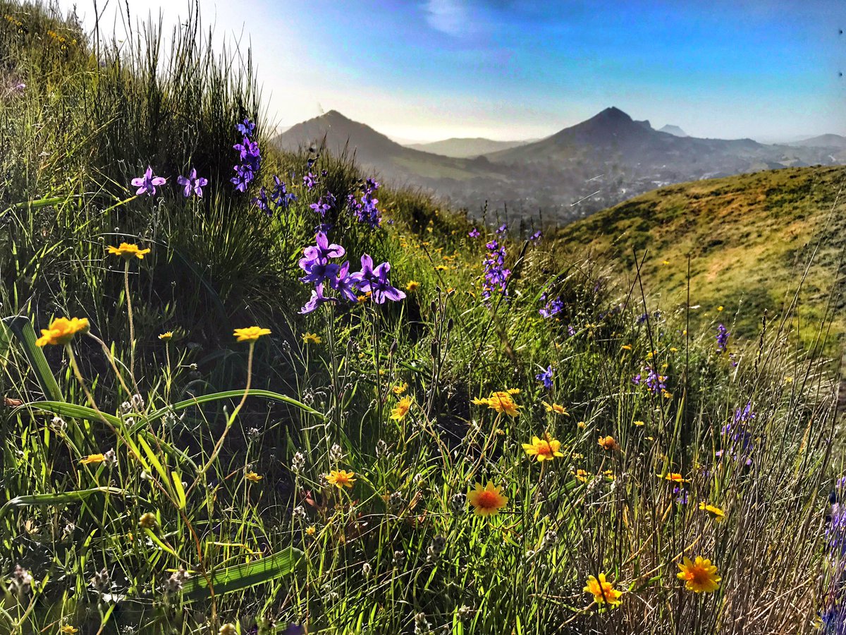 Laura Schwoerer tweet media