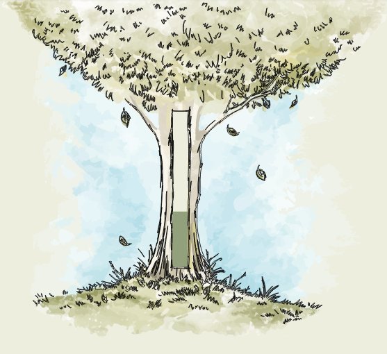 ndccharity's tweet photo. The Association of Natural Burial Grounds supports the #TreeCharter @WoodlandTrust https://t.co/L6jVirtpCc #ANBGmember #treeburial https://t.co/7kagqVBow4