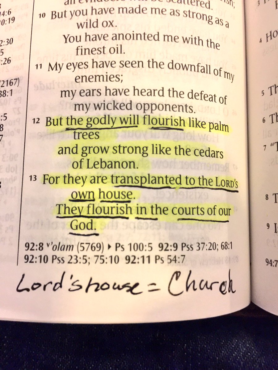 mbullen1123's tweet photo. Those who will be planted in the church will flourish! #yourHOPE #findachurch #fcfclubbock #fcfclbk #GODsPLAN #wevegotyourseatsaved https://t.co/bppy7Y1KfQ