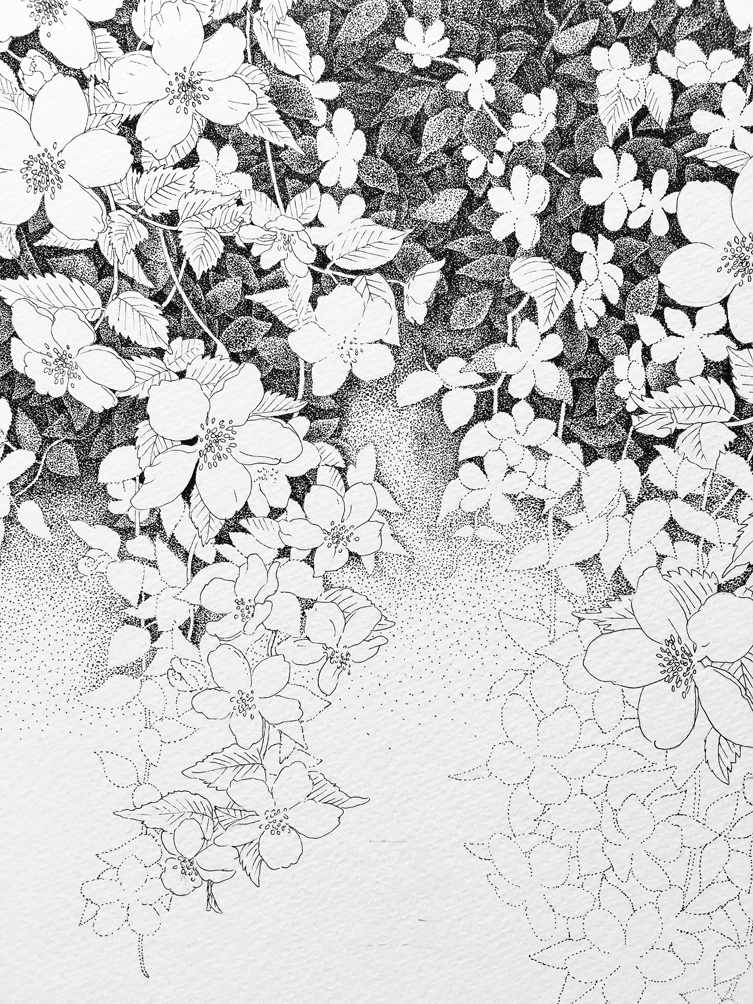 もとゆきこ ペン画 Cobako Yo あ わかります グラデーション描くのが楽しくて 試したいことがどんどん出てきますよね 新作 楽しみにしてます Twitter