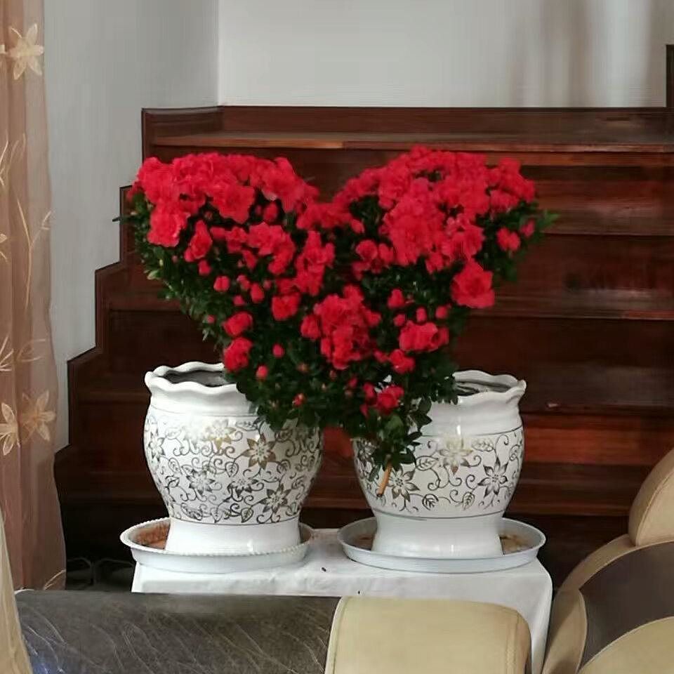 pharrellness's tweet photo. romantic https://t.co/gOhvU4SMAT https://t.co/j4PrVgjpQb