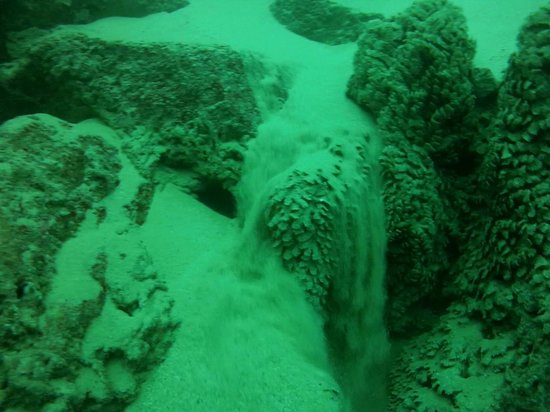CaboGroundS's tweet photo. #ScubaDive in #Cabo to see the amazing sand waterfalls. This activity should be on your #bucketlist! https://t.co/gjFWA3TeqJ