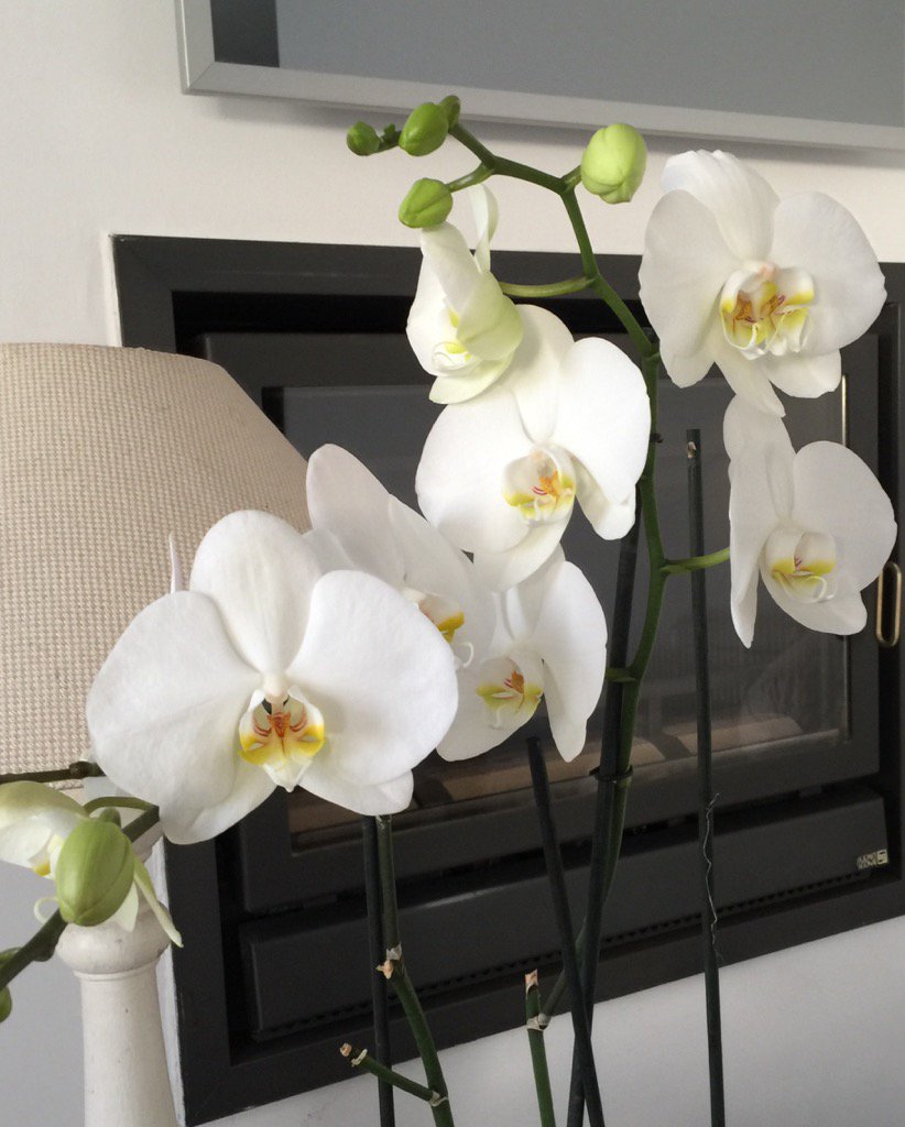 Es gibt doch noch Hoffnung, dass aus mir ein guter Gärtner wird!