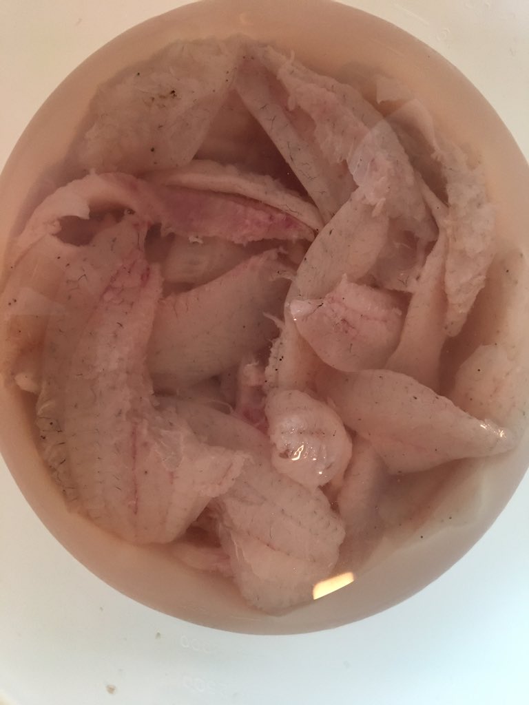 BenPeineWeather's tweet photo. Good day of fishing and eating! https://t.co/ER59YyQDmu