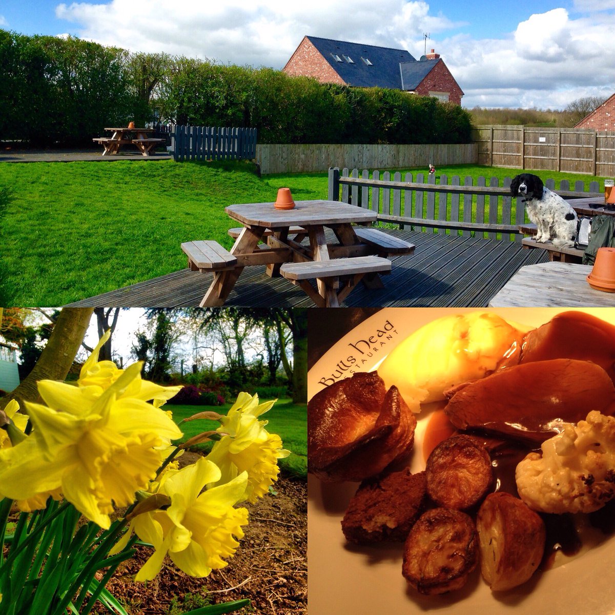 BullsHeadDenby's tweet image. It was a beautiful, busy day at the #thebullsheaddenby, £7.95 for roast of the day, £4.95 for child's plus the full menu! Booking essential!