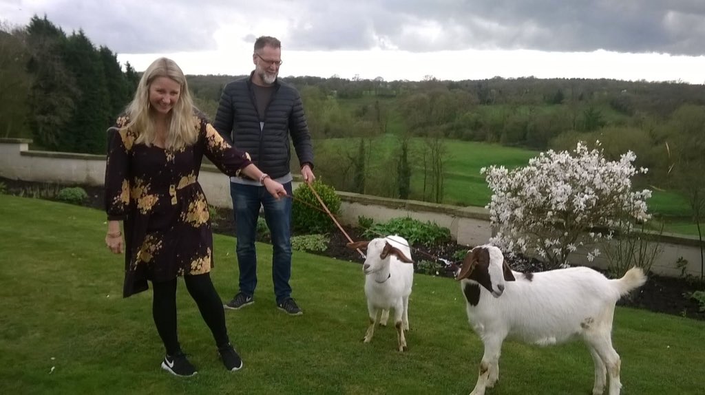 fishersmobile's tweet photo. Surprise birthday visit to #SwettenhamHall this weekend was fantastic. Never to old to cuddle our animals #fishersmobilefarm https://t.co/iZOS4CNgKZ