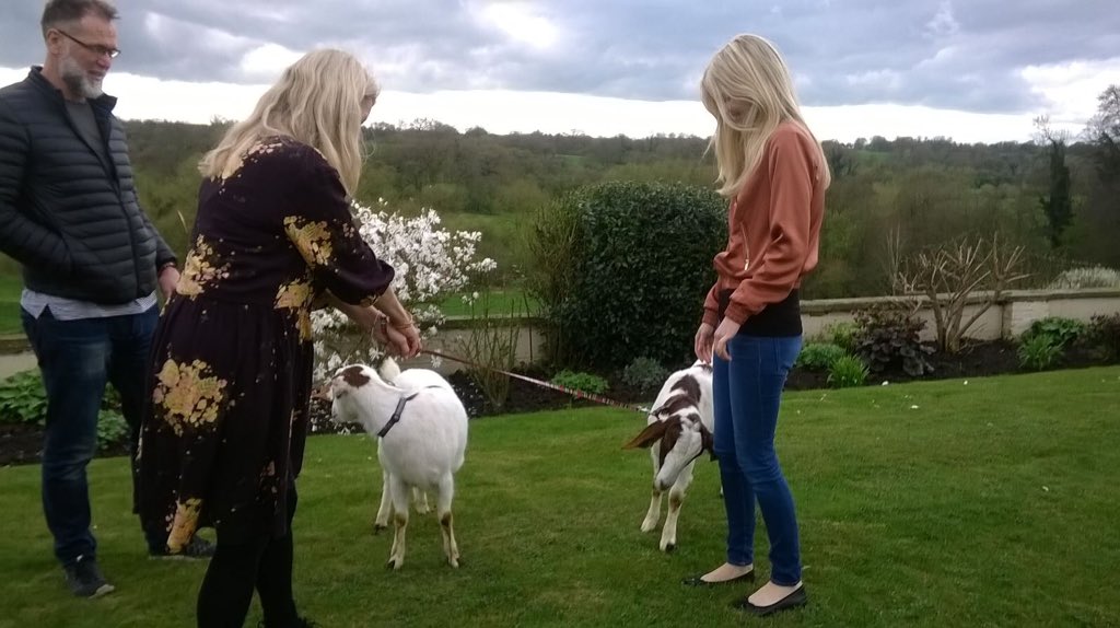 fishersmobile's tweet photo. Surprise birthday visit to #SwettenhamHall this weekend was fantastic. Never to old to cuddle our animals #fishersmobilefarm https://t.co/iZOS4CNgKZ