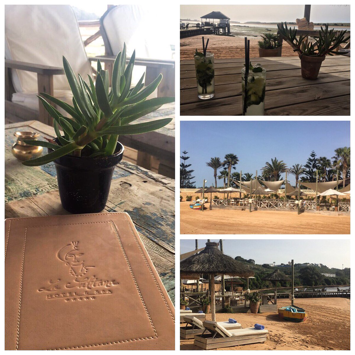 _SarahMBen's tweet photo. Sundays in Morocco. https://t.co/TPY62nKyjA