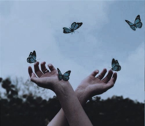 zayesthetic's tweet photo. https://t.co/SnDT5VYRkY