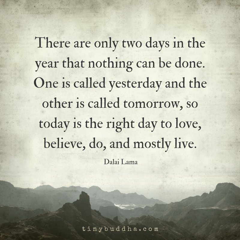 There Are Only Two Days In The Year That Nothing Can Be Done Dalai Lama