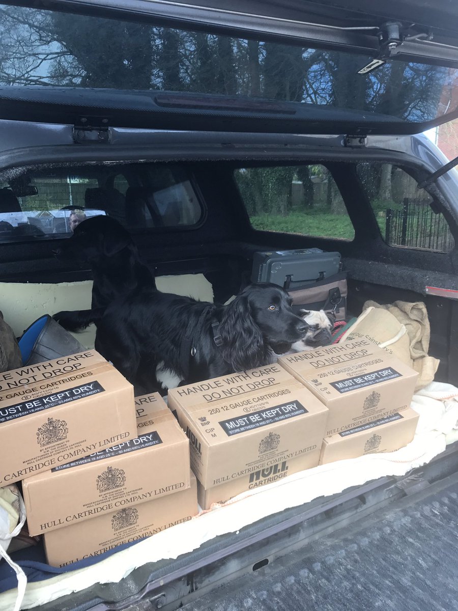 Pugs on a #simday #shoot #puglife #clayshooting #miroku #hull art ridge