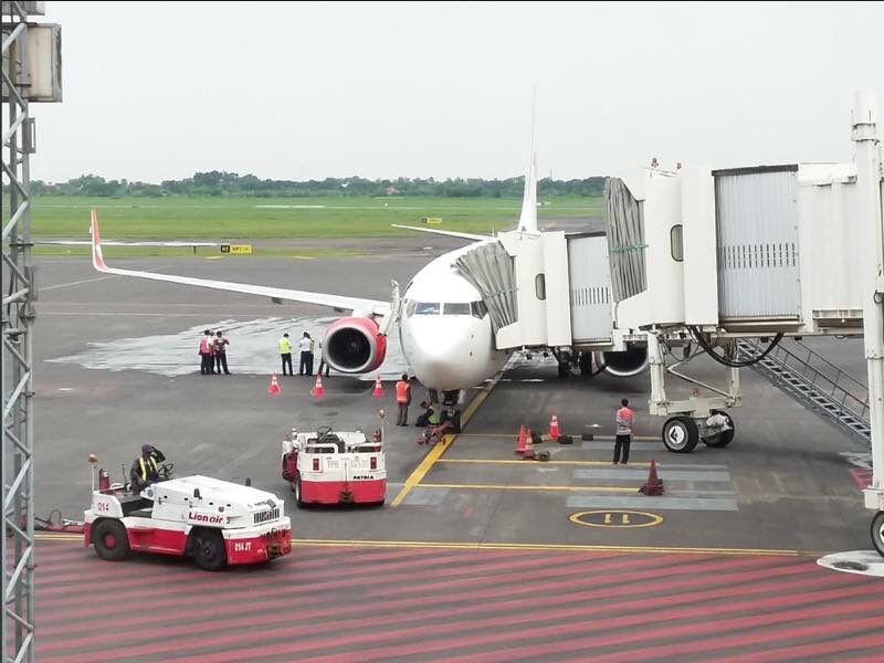 IslandFlyer tweet media
