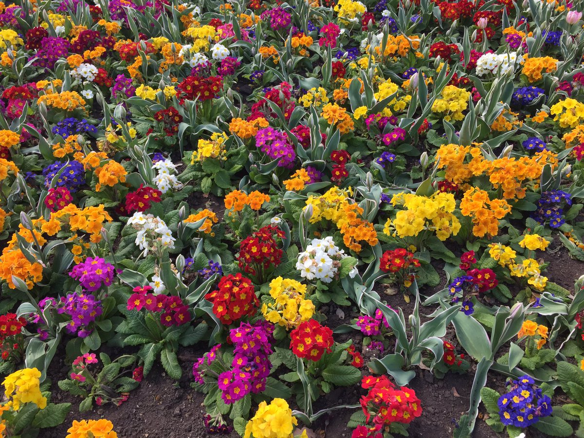 Prelway's tweet photo. Off they float into #nature on this beautiful #spring day! Happy #SizdehBedar! #sabze #norouz #persiannewyear #tieaknotmakeawish #natureday https://t.co/GhwpzG1ryX