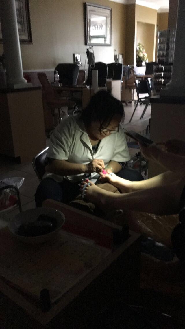 stellalsamples tweet picture