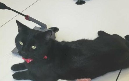 TreasuryMog's tweet photo. Forgot that we were going to start #sleeksunday today. Here's a photo from a while ago to kick initiate it. https://t.co/9I3i8olyjC