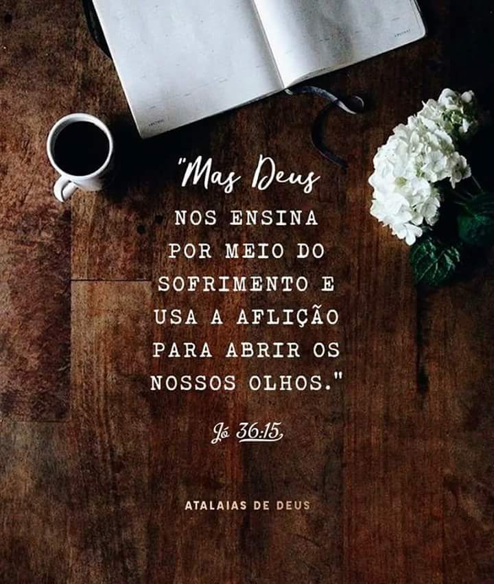 Ulisses Beta #SDV (@ulissesnetofsa) on Twitter photo 