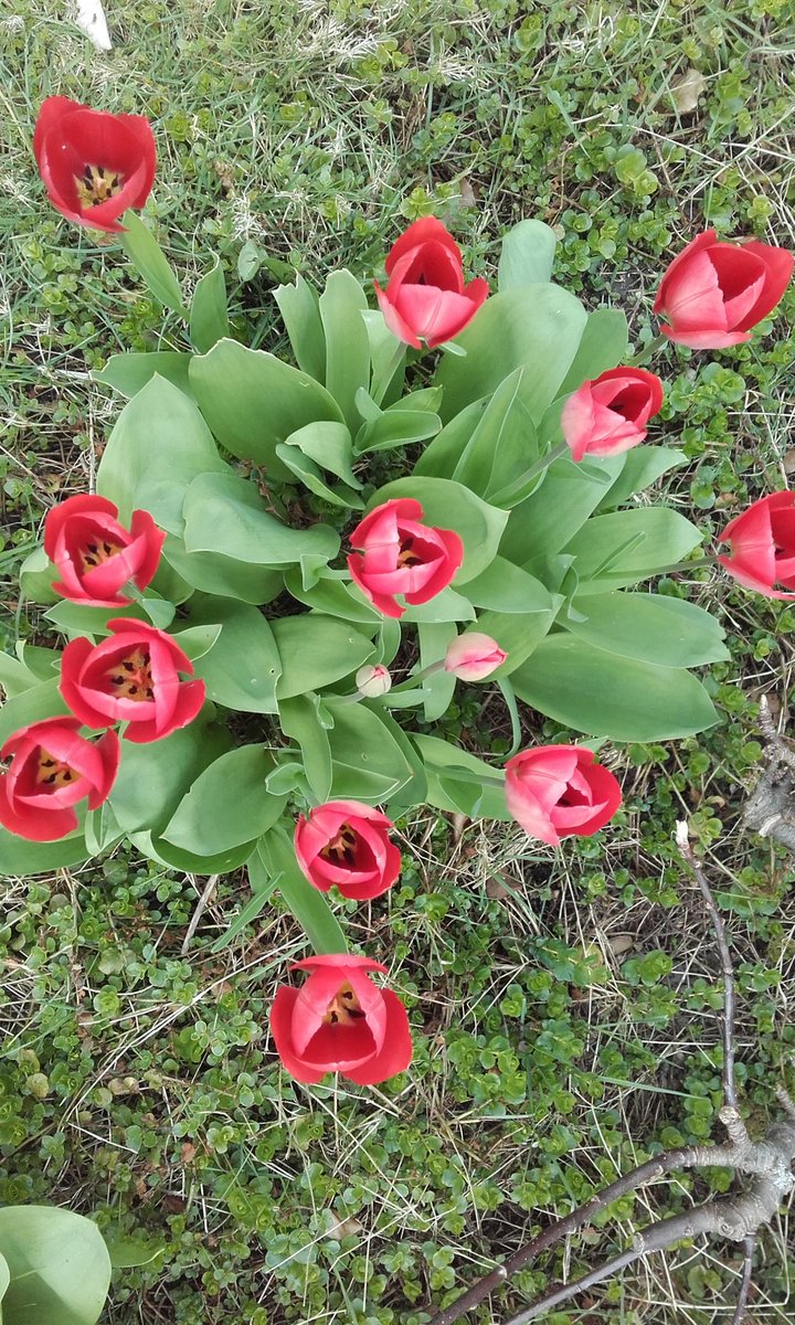 FieldEast's tweet image. 