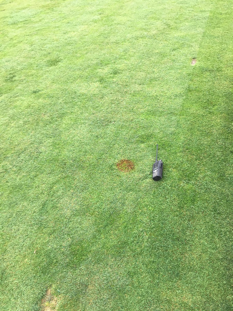 jbat_cull's tweet photo. Eventful scouting today. 1st poa seed heads, isolated fusarium patches, and waitea on greens. https://t.co/fv1EZ5uEdQ