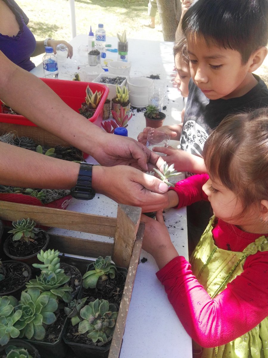 comunicacionRS's tweet photo. Elaboración de #Hidromacetas #proyectovecinal #barrancadebarrilaco @malvarezmardone @parqueRS @ArbolesMx https://t.co/ijUtfDrRkt