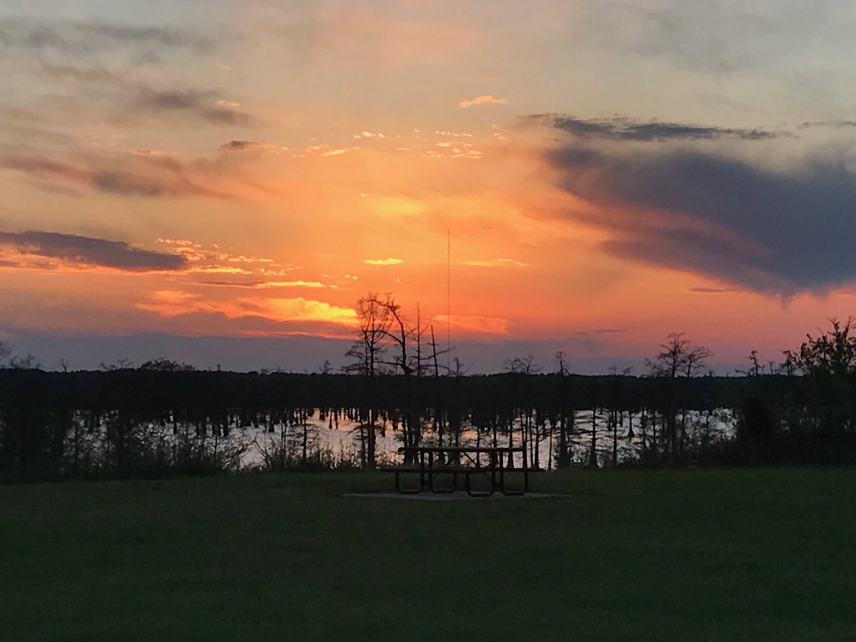 Eric Wooten (@solocam_hunter) on Twitter photo 