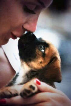 LadukeChar1's tweet image. #Love #SpringIn5words #Babies 
New Life Begins Hope Restored