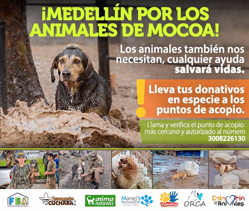 #MocoaSomosTodos Los animalitos damnificados también claman ayuda. Paisas queridos, gracias por ayudar. <a href="/PlataformaALTO/">Plataforma ALTO</a> <a href="/andreanimalidad/">Andrea Padilla |Senado Alianza Verde🌻#️⃣1️⃣4️⃣</a>