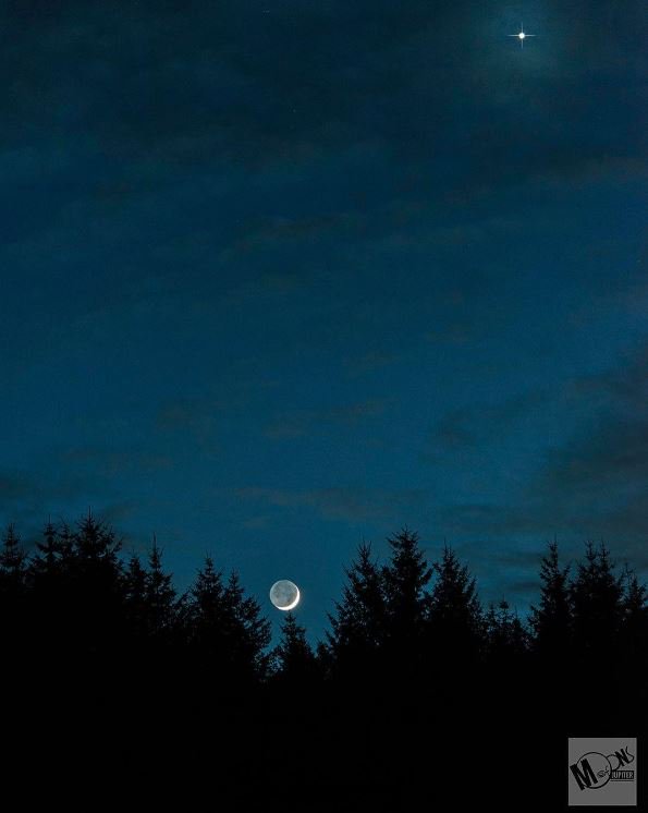 ForestryEngland's tweet photo. Snap a picture of the forest sky at night and share with #ForestStar for the chance to win a Β£100 Amazon voucher! π
https://t.co/opsx8bQemj https://t.co/NWNDeq3Vft