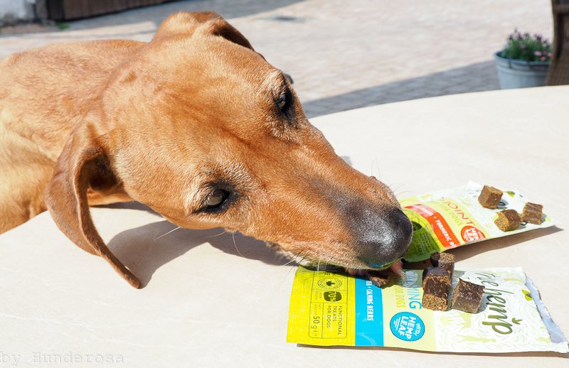 Die Omis durften mal wieder was leckeres testen schaut im Blog rein. hunderosa.de/blog/werbung-l…