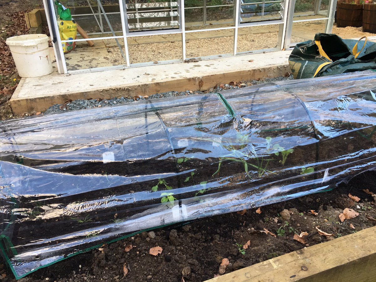 SuziLDavis's tweet photo. #sundayin garden - #proud of hard work @SuziLDavis https://t.co/nqOD4eEhEm