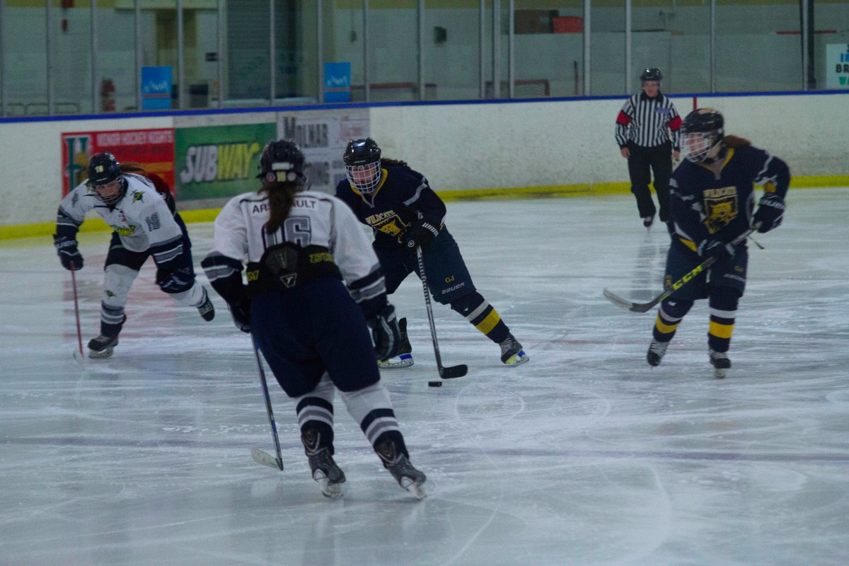 AtlanticsEH's tweet photo. Some pictures from the currently in-progress Gold Medal game! https://t.co/WBle4FsBLN