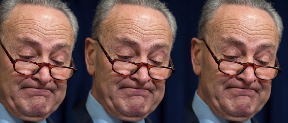 Video evidence of Chuck Schumer flip-flopping 