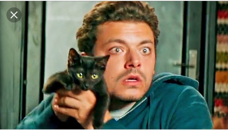Quand t'es allergique au Chat... #Gangsterdam #AuCinéPartout #BigLove