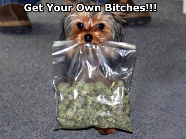 tasandra_young's tweet photo. @SnoopDogg #ToTheMostHigh https://t.co/oOeYqEyLi6