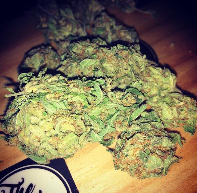 LolaJayXX's tweet photo. Gorilla Glue π€ππ
β’
#StonerGirl #GirlsWhoSmoke #BudPic #GorillaGlue #GG #LolaJayX https://t.co/GXCE18adHj