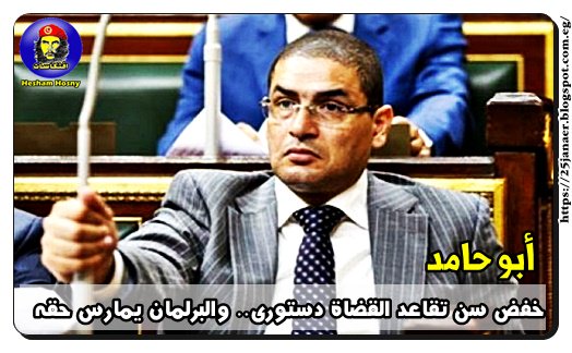 أبو حامد: خفض سن تقاعد القضاة دستورى والبرلمان يمارس حقه