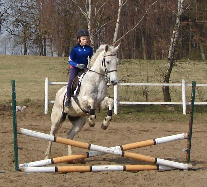 ZbigSiedlewski's tweet photo. Jeszcze jedno zdjęcie z dzisiejszej niedzieli  #Runowo #StajniaRunowo https://t.co/dtj91Ylgaj